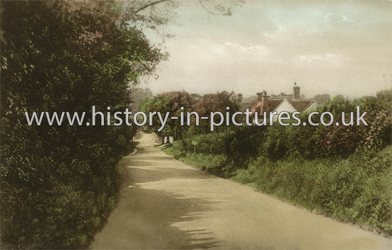Colchester Road, Halstead, Essex. c.1920's